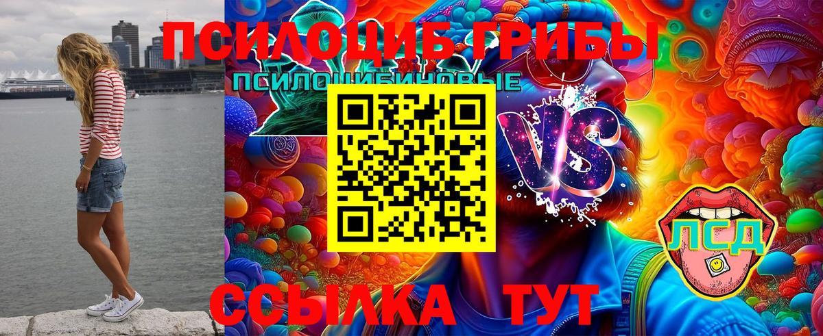 Галлюциногенные грибы GOLDEN TEACHER  что такое наркотик  Торжок  Вход с VPN 